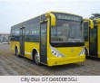 City Bus GTQ6800E3GJ