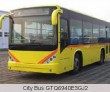 City Bus GTQ6940E3GJ2